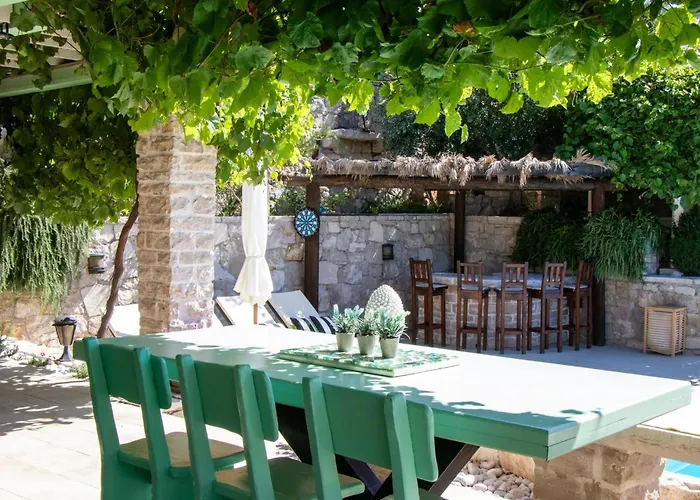 Authentic Dalmatian Treasure Homes - House Wood *