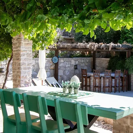 Authentic Dalmatian Treasure Homes - House Wood *